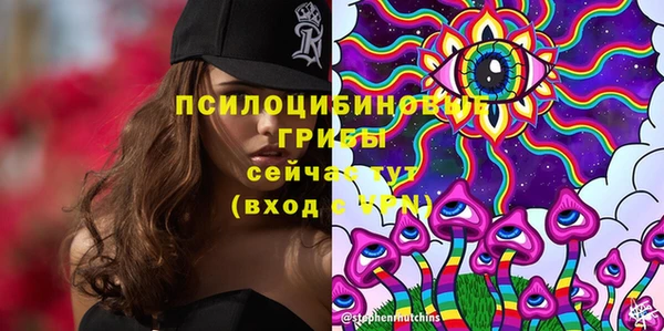 spice Алексеевка