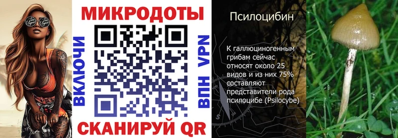 Галлюциногенные грибы Psilocybine cubensis  где купить наркоту  Геленджик 